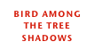 bird among the tree shadows